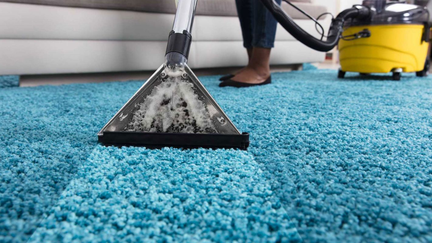 Rug Cleaning Services Naperville IL