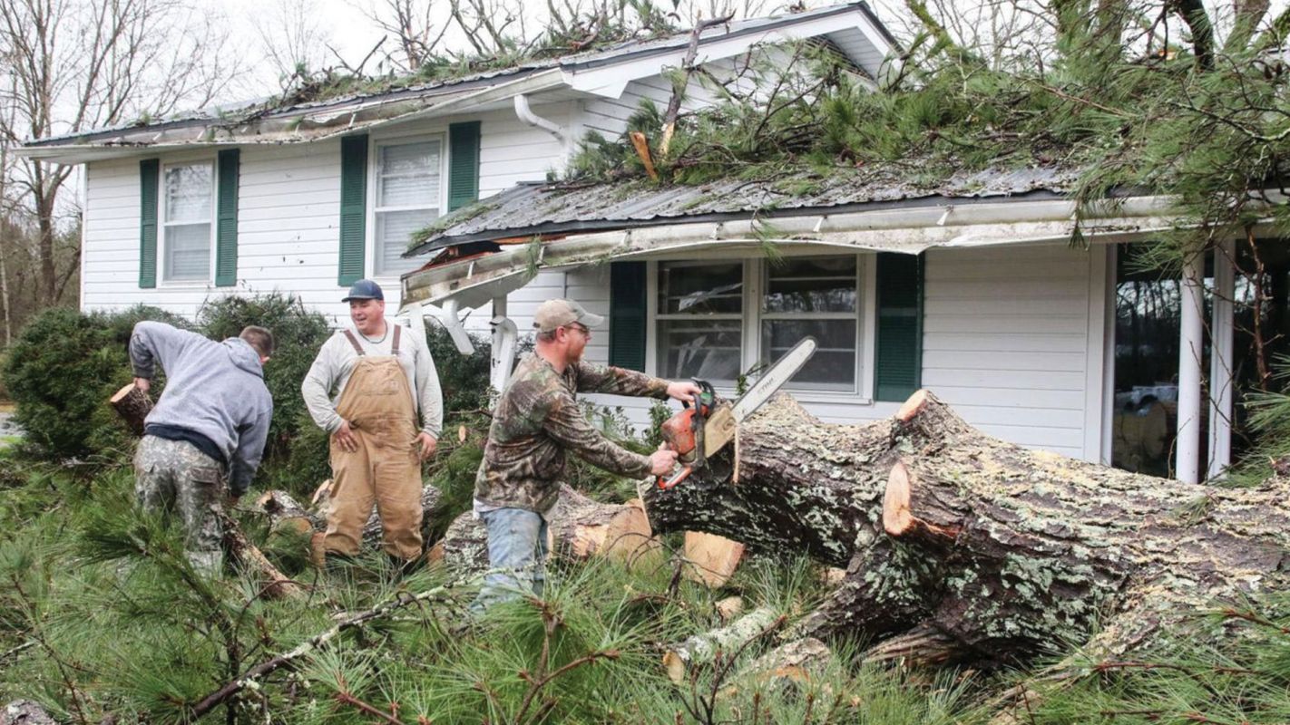 Storm Damage Cleanup Farmers Branch TX