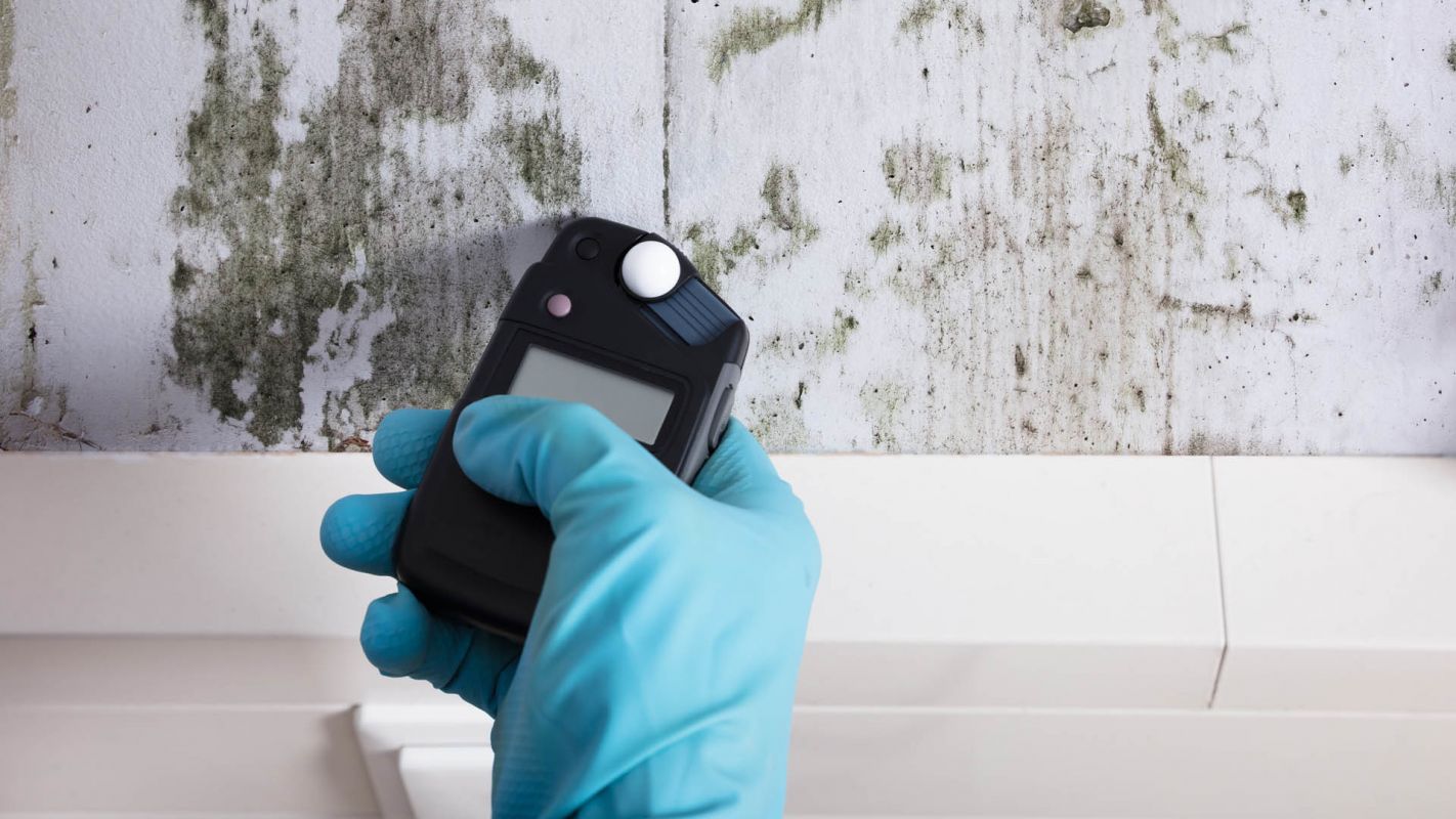 Mold Testing Specialists Payson UT