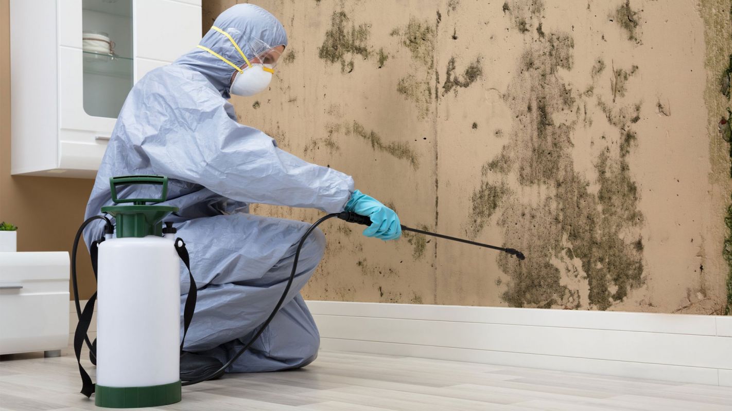 Mold Damage Restoration Orlando FL