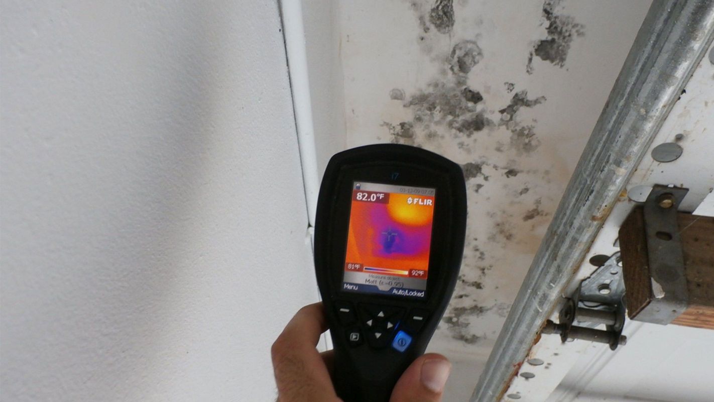 Mold Inspection Service Columbia MD