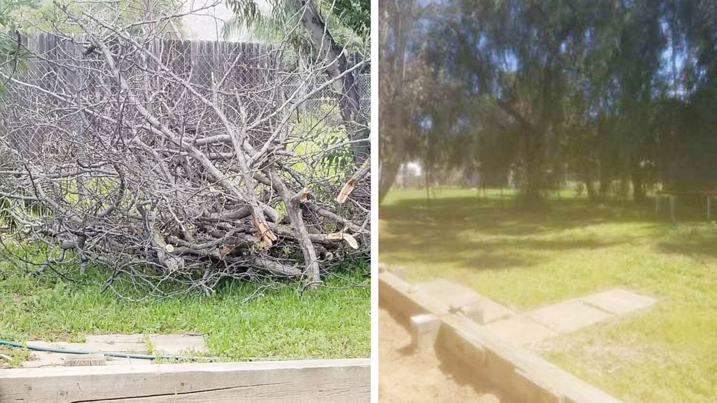 Yard Debris Removal Chula Vista CA