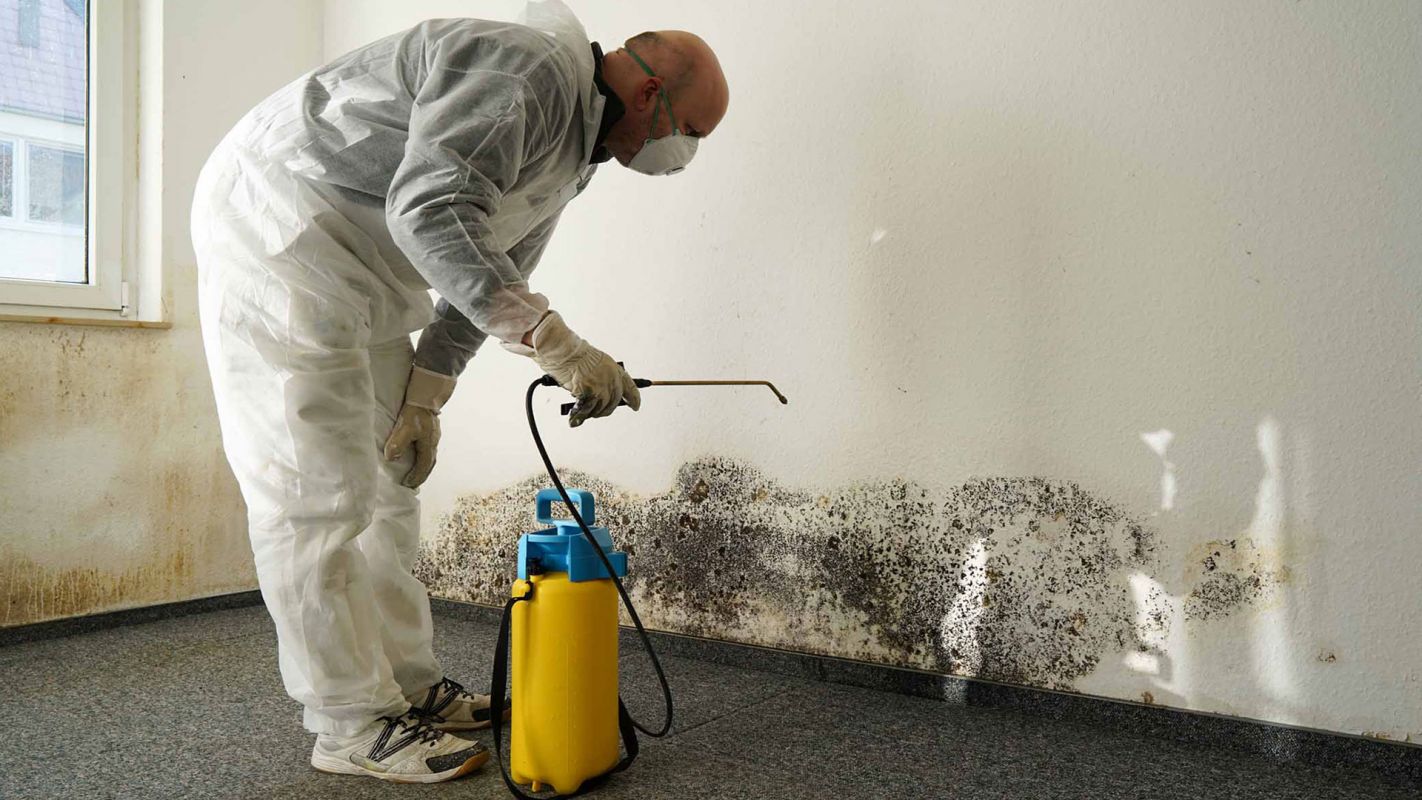 Mold Inspection Services Fort Mitchell AL