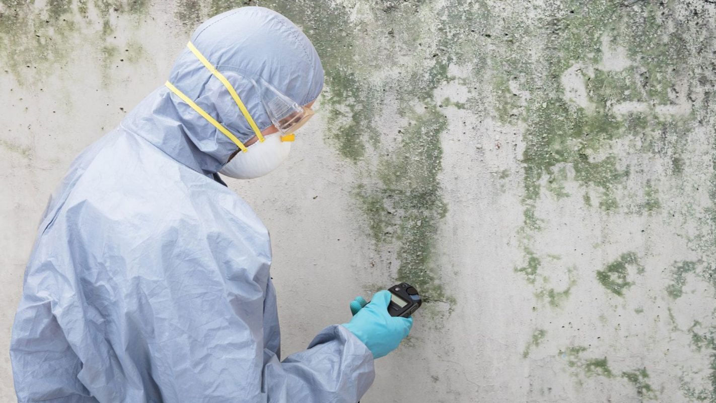 Indoor Mold Testing Services Fort Mitchell AL