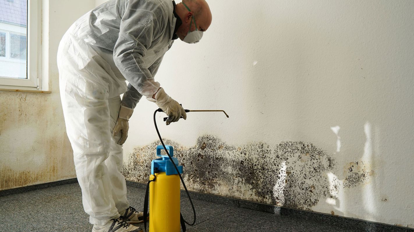 Mold Remediation Santa Monica CA