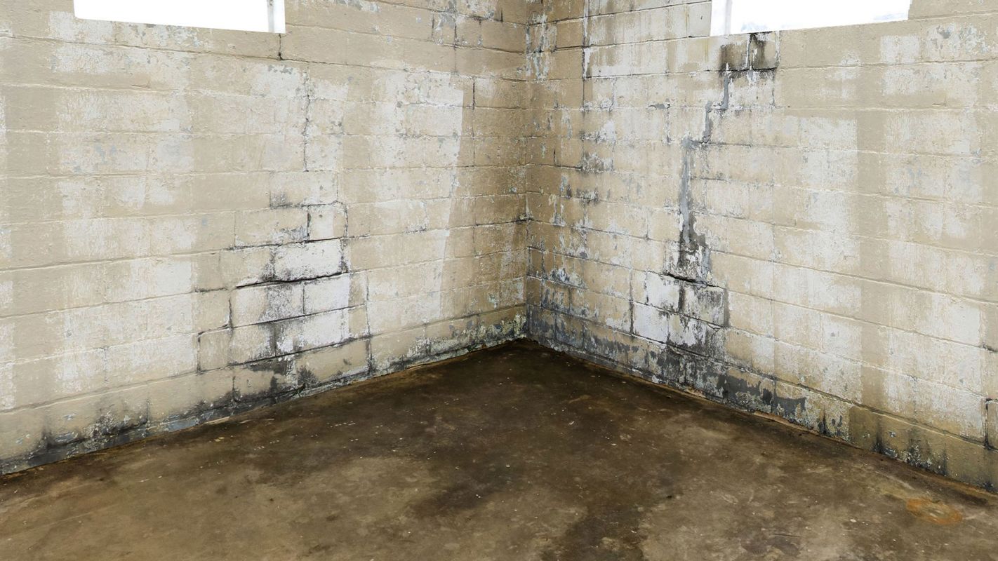 Basement Waterproofing Services Tobyhanna PA