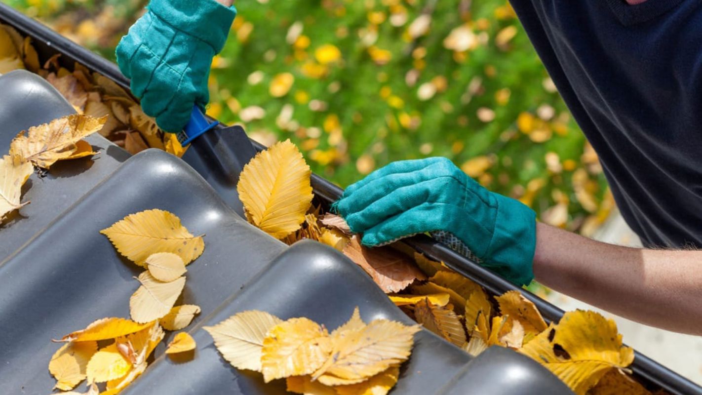 Gutter Cleaning Services Franklin TN