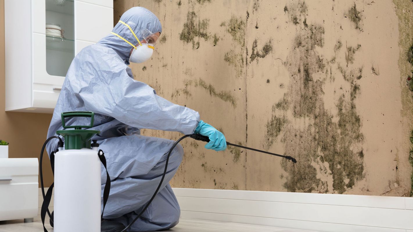 Mold Remediation Lake Ariel PA