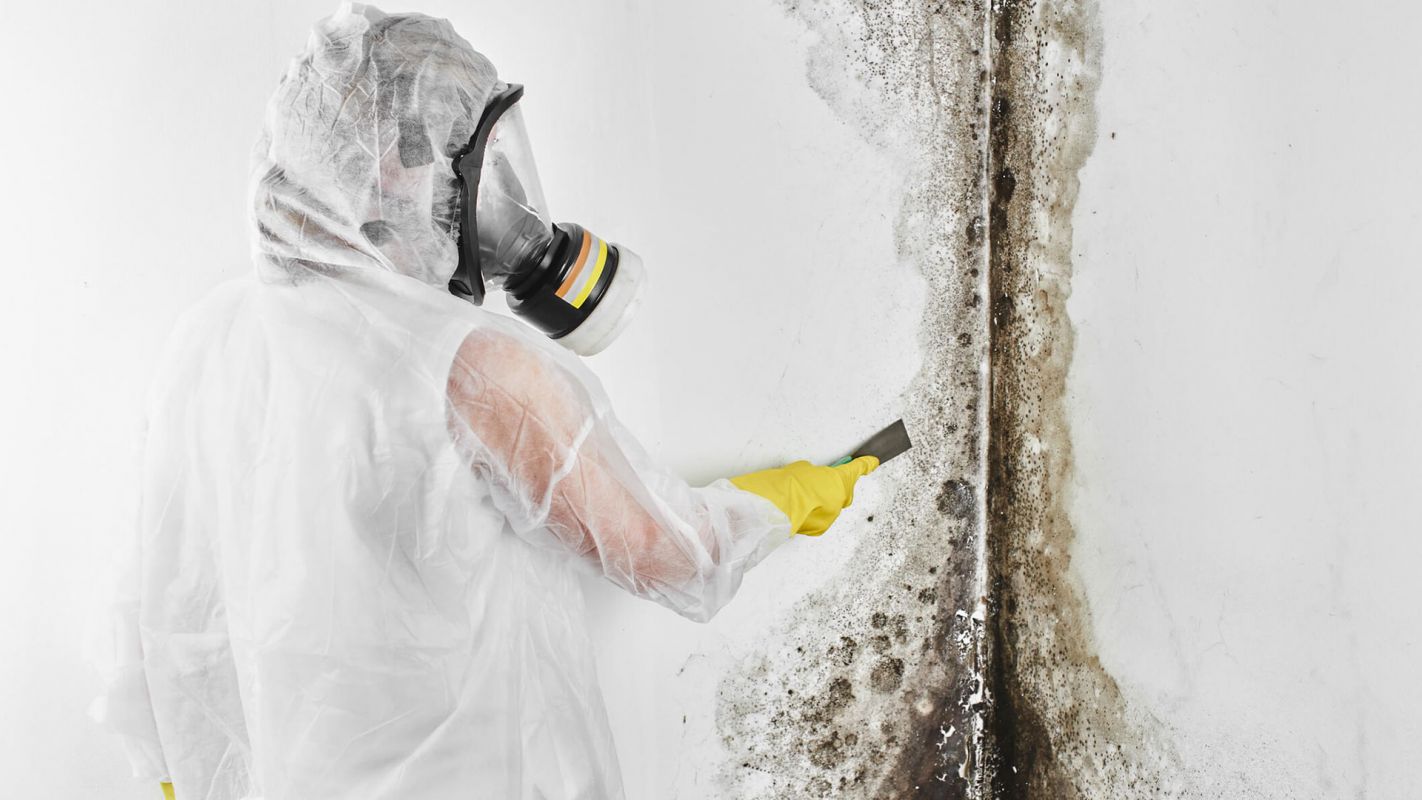 Mold Assessment Service Midland GA