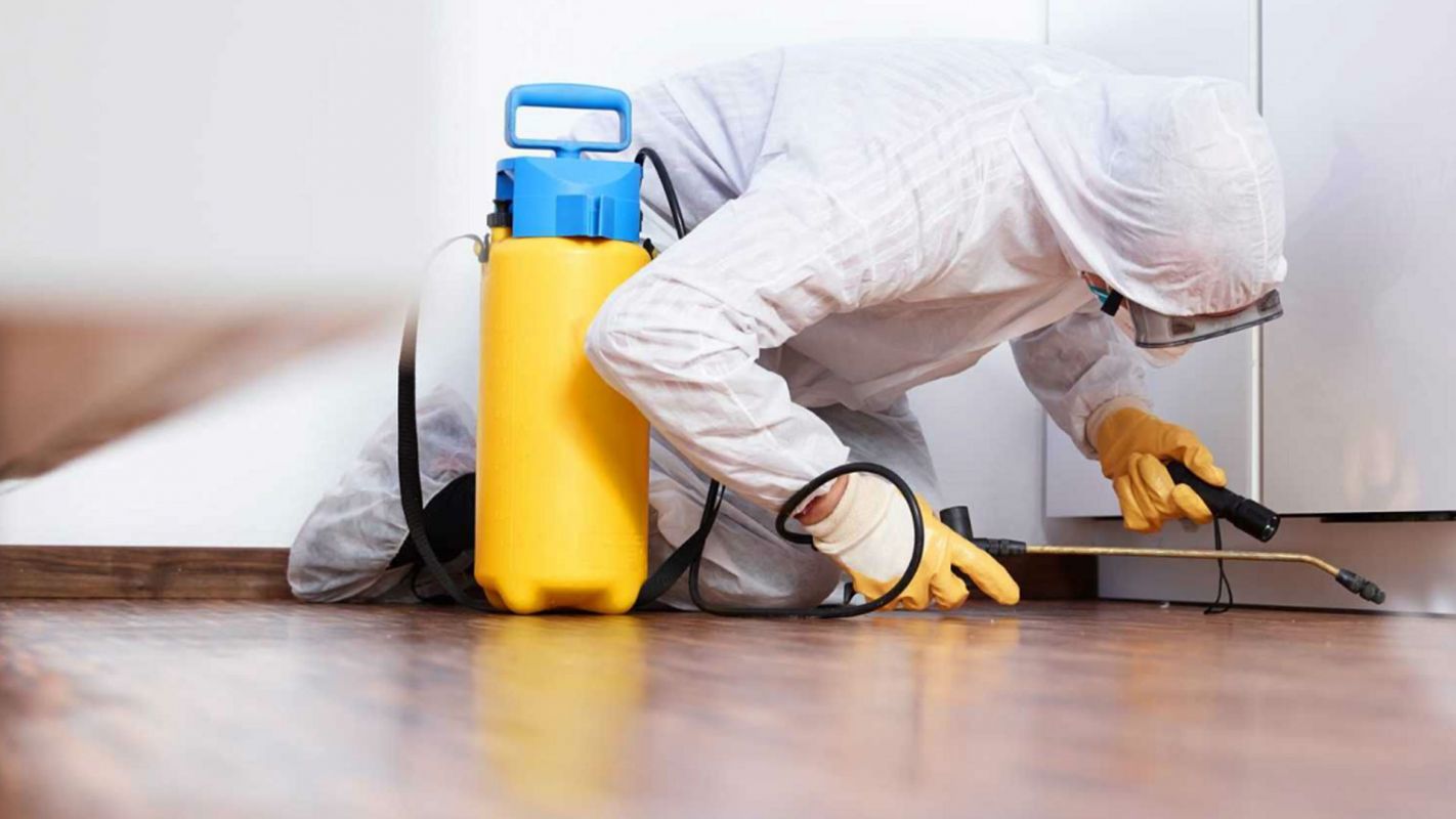 Pest Extermination Services Boynton Beach FL