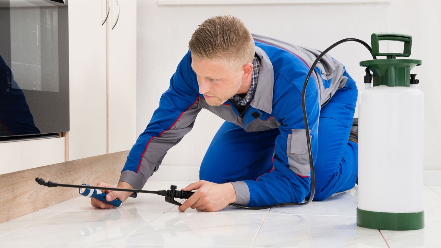 Pest Control Assessment Riviera Beach FL