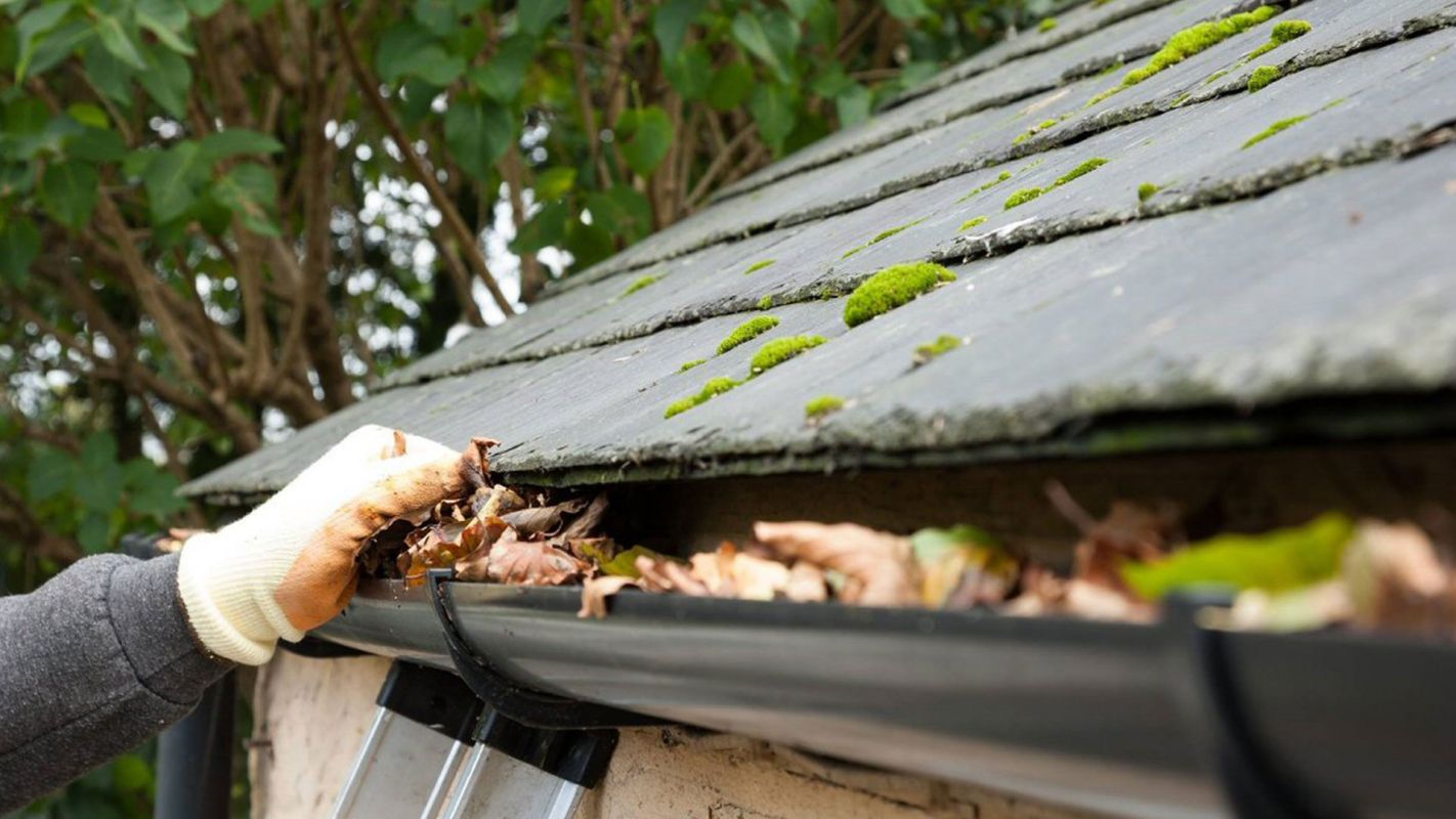 Affordable Gutter Cleaning Service McDonough GA