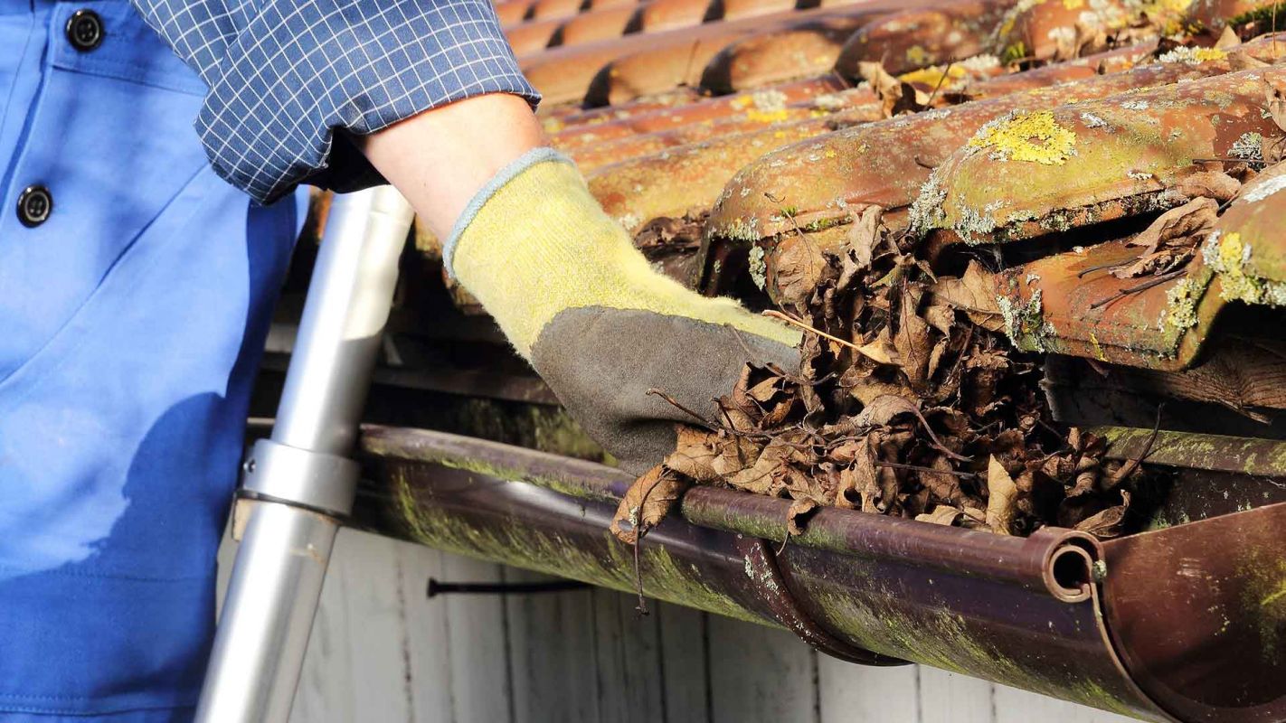 Gutter Cleaning Charlotte NC