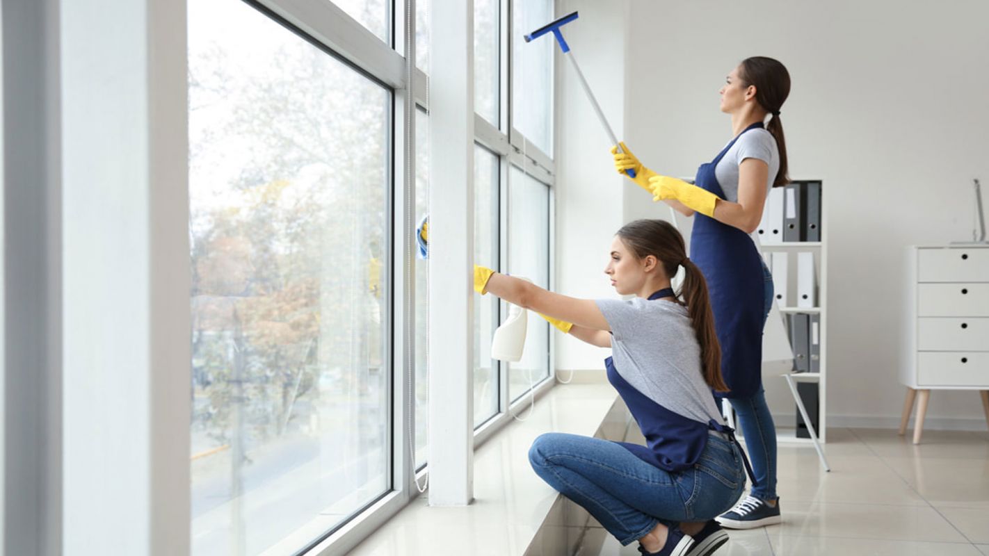 Professional Window Cleaning Westminster MD