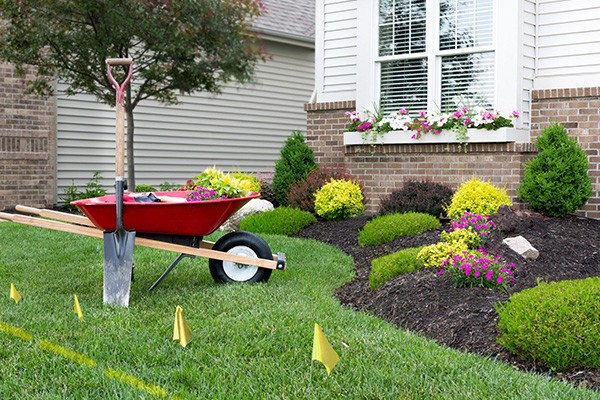 Free Landscaping Consultation