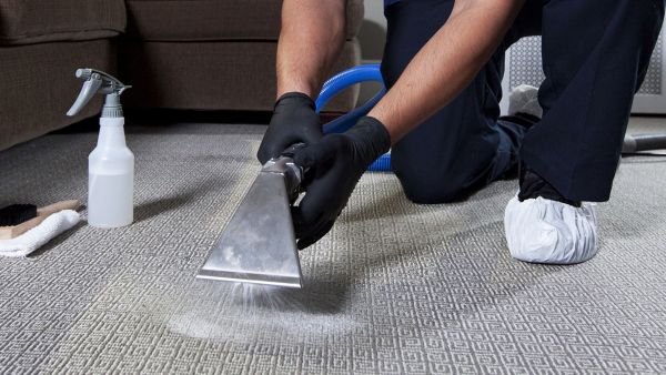 Affordable Carpet Cleaning Denver CO