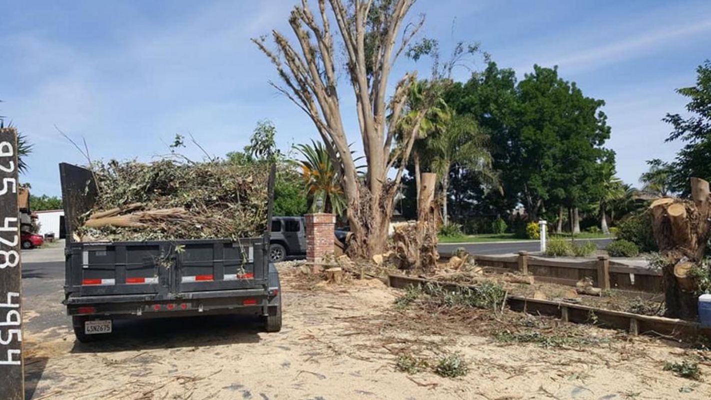 Debris Removal Services Antioch CA