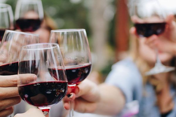 Wine Tasting Tours