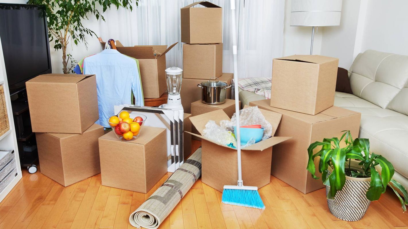 Move In Cleaning Los Angeles CA