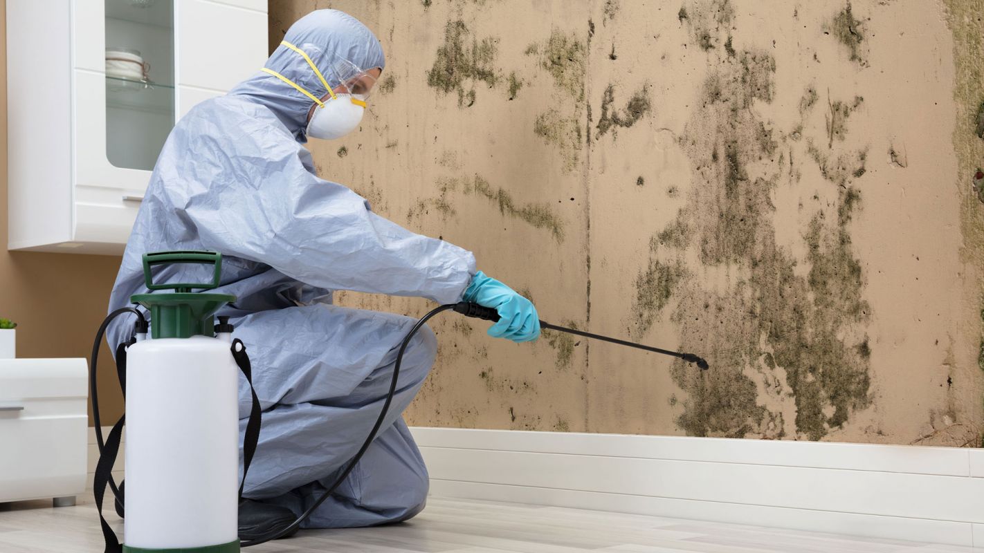 Mold Removal Service Southlake TX