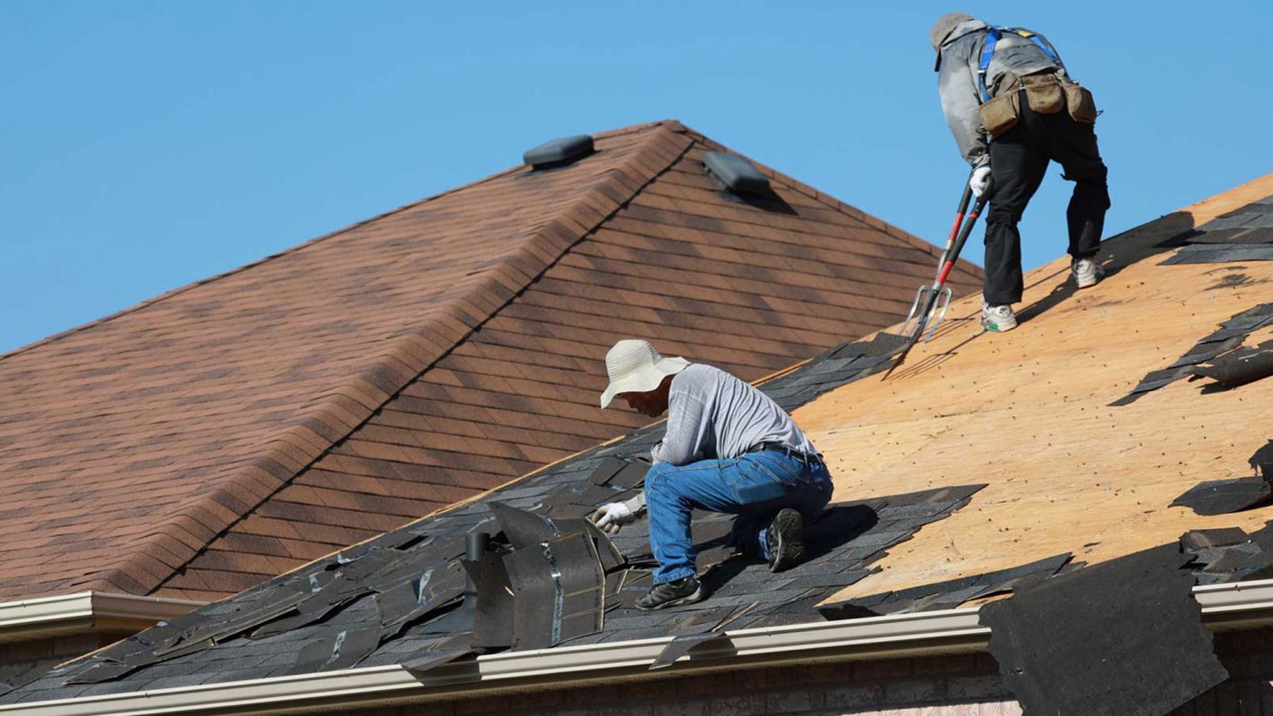 Shingle Roof Contractors Brandywine MD