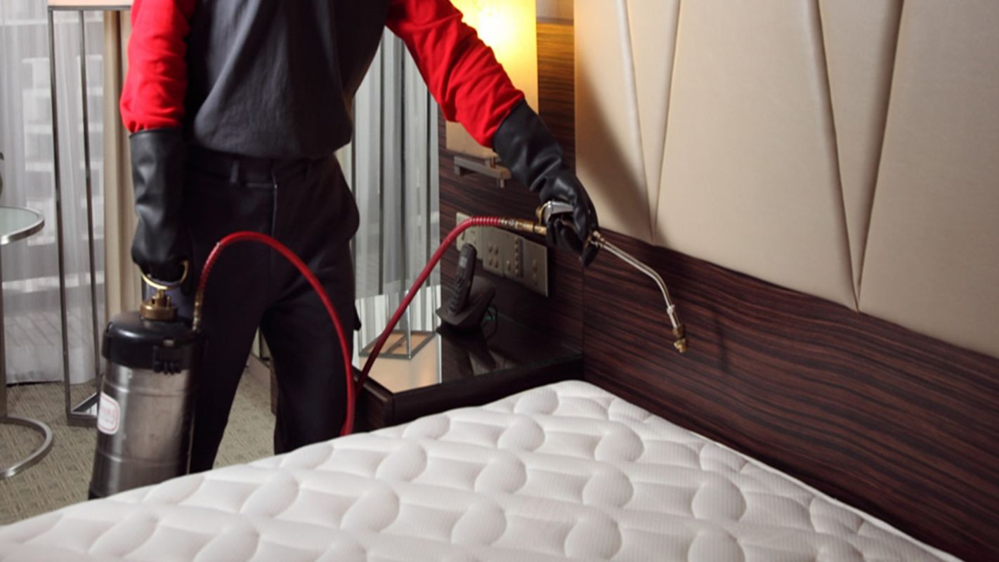 Bed Bug Heat Treatment Service Williamsburg NY