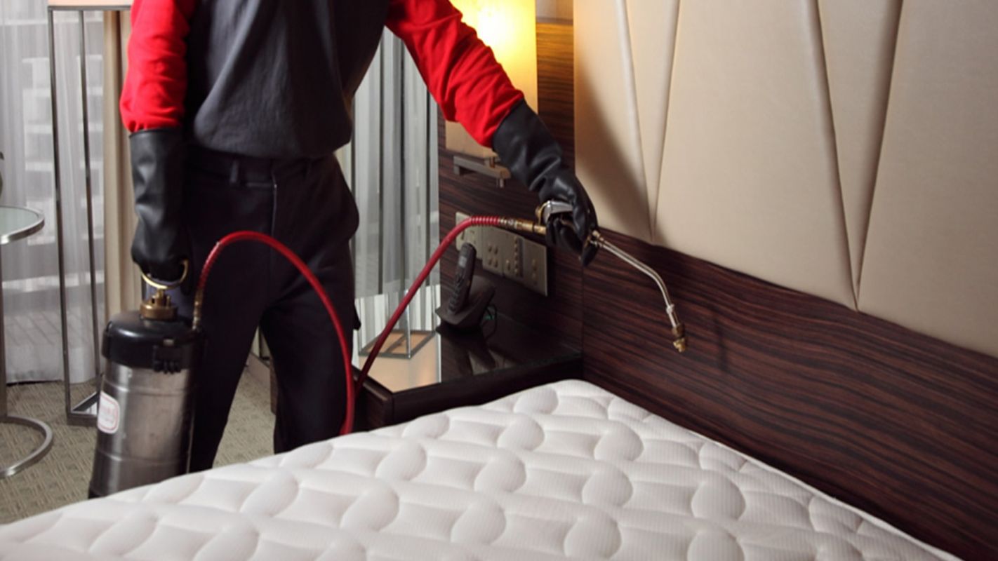Bed Bug Heat Treatment Service Astoria NY