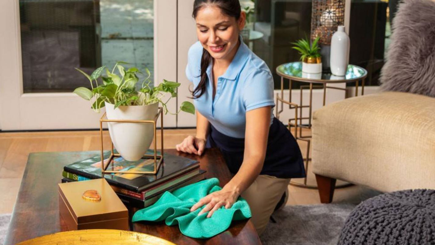 Affordable Furniture Cleaners Hollywood FL