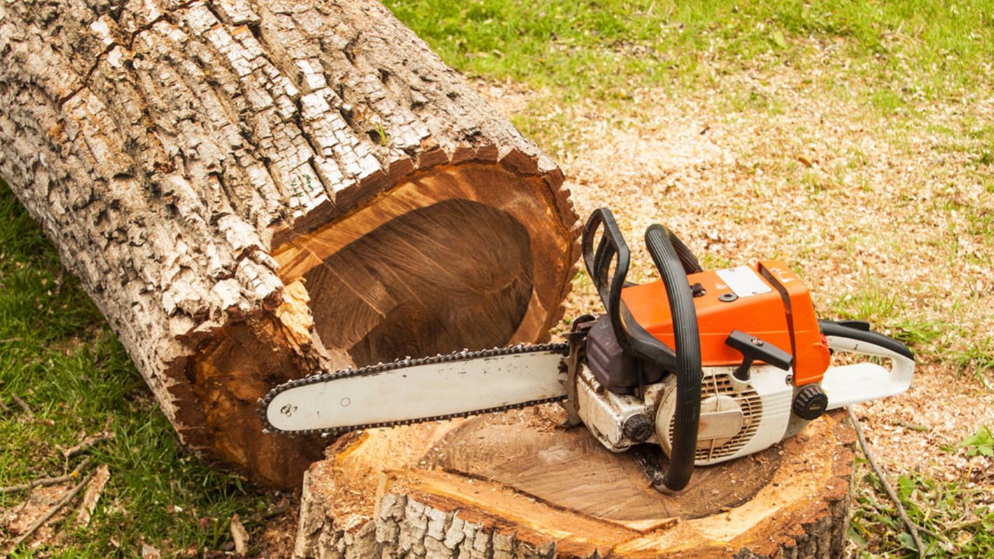 Commercial Tree Removing Service Loveland OH