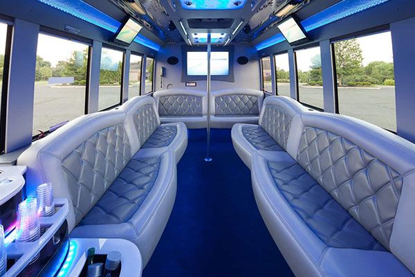 Best Party Bus Rental