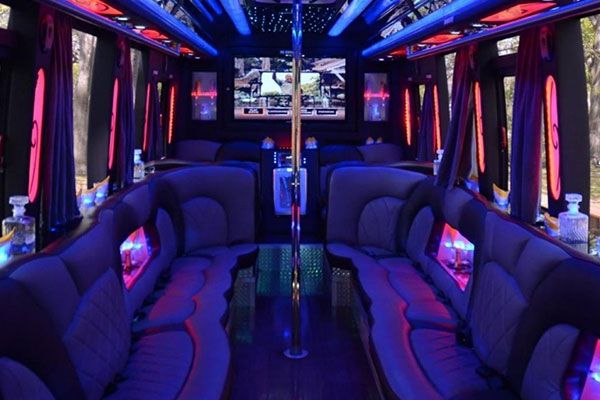 Best Party Bus Services