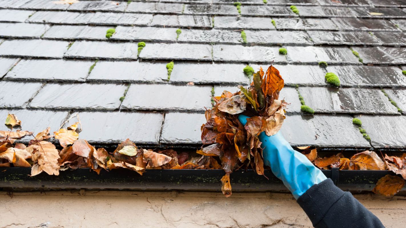 Gutter Cleaning Services Duluth GA