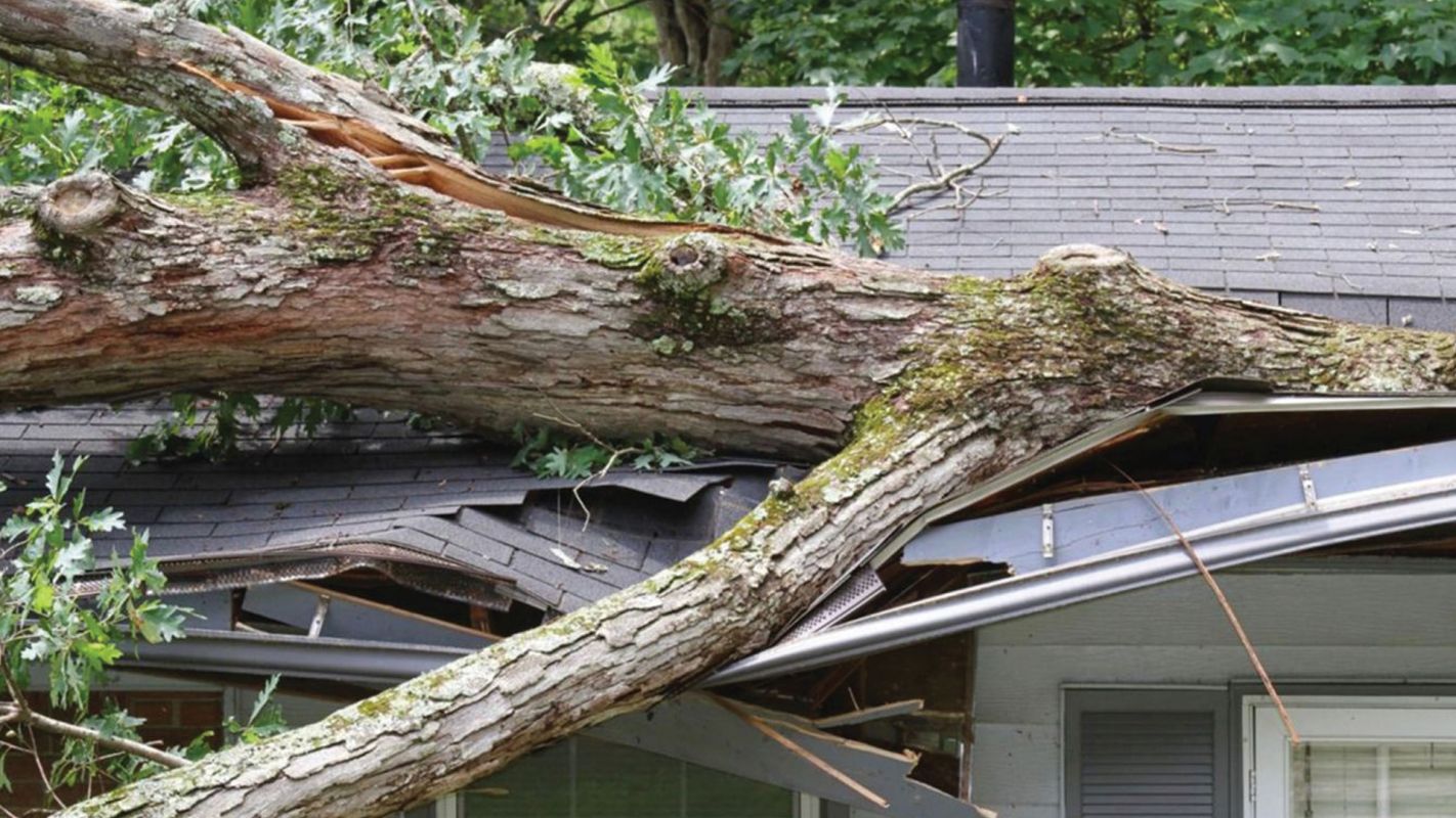 Storm Damage Farmers Branch TX