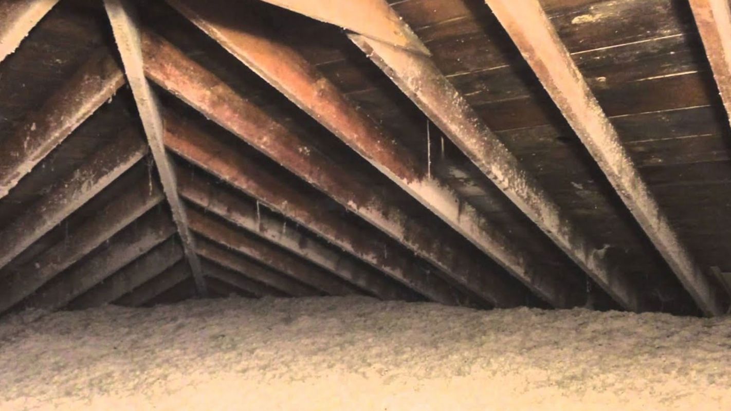 Attic Mold Cleaning Services Litchfield Park AZ