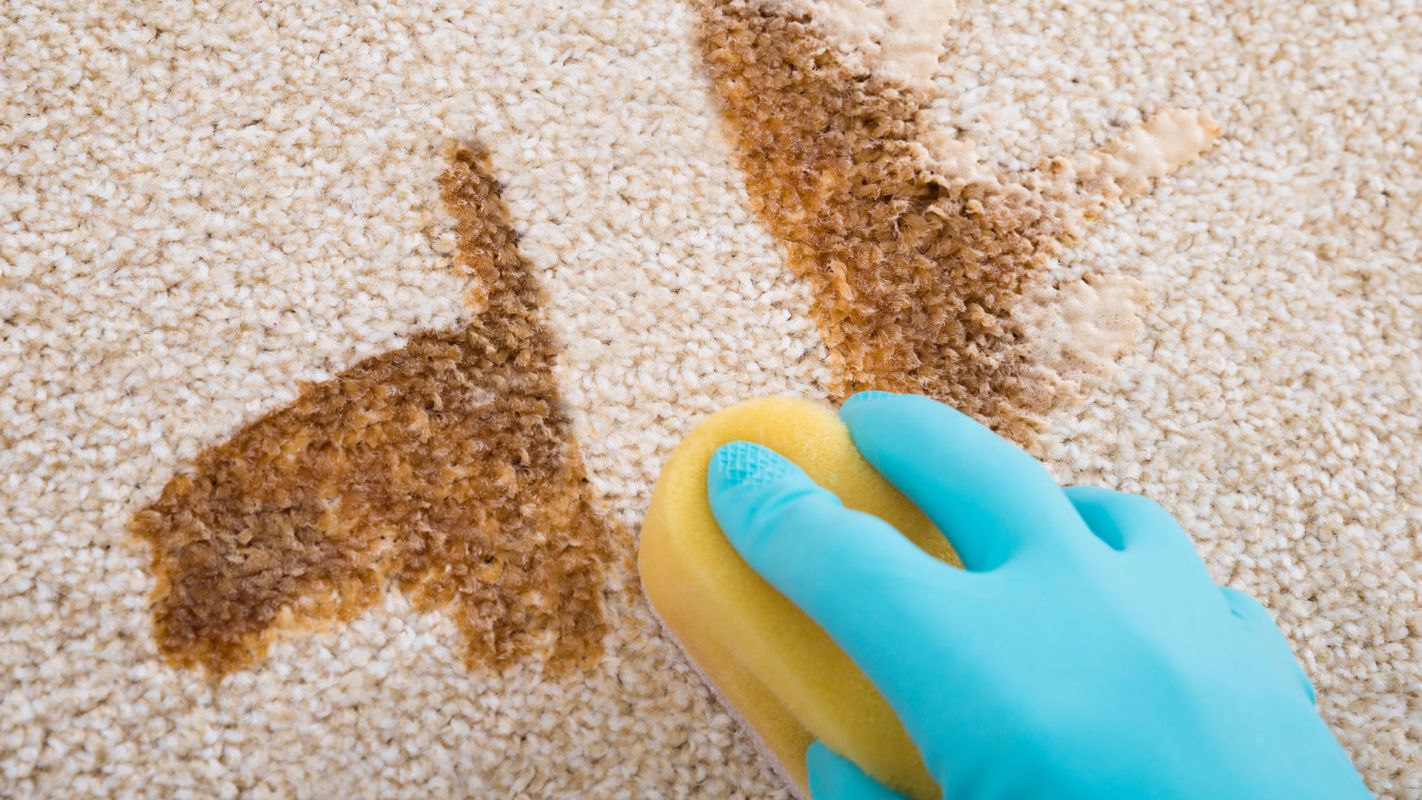 Odor Removal Services Litchfield Park AZ