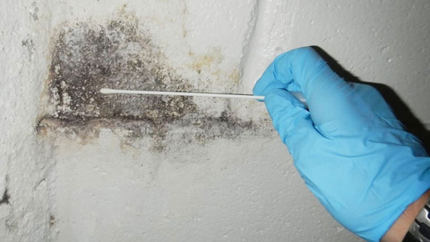 Basement Mold Inspection Litchfield Park AZ