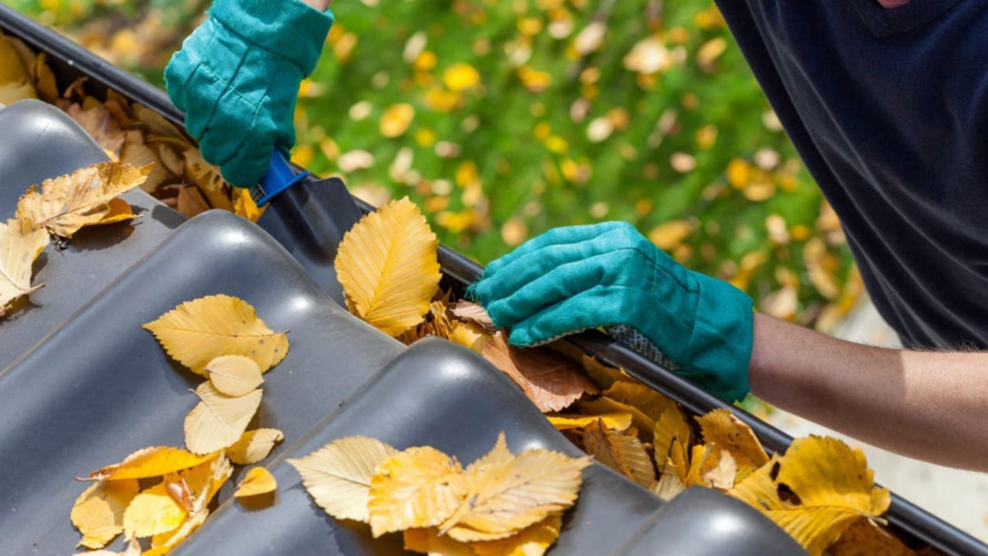 Gutter Cleaning Service Paradise Valley AZ