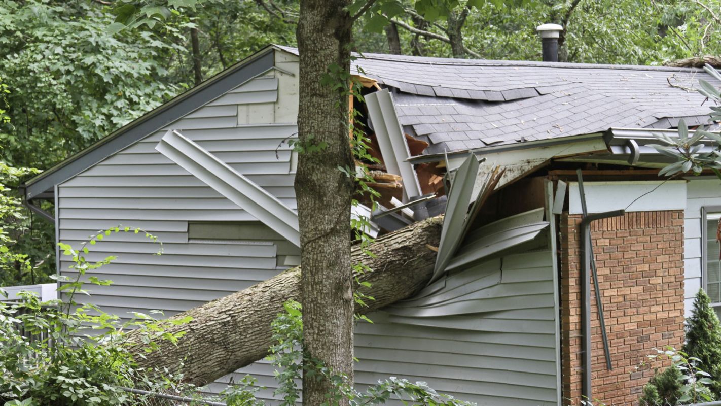 Fallen Tree Insurance Claims Baldwin NY