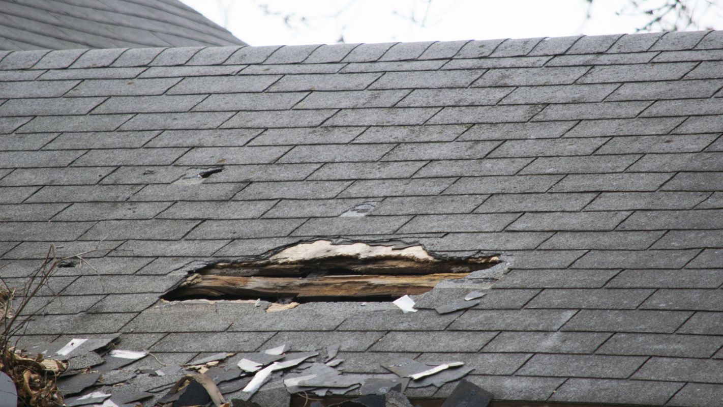 Roof Damage Repair Pearland TX