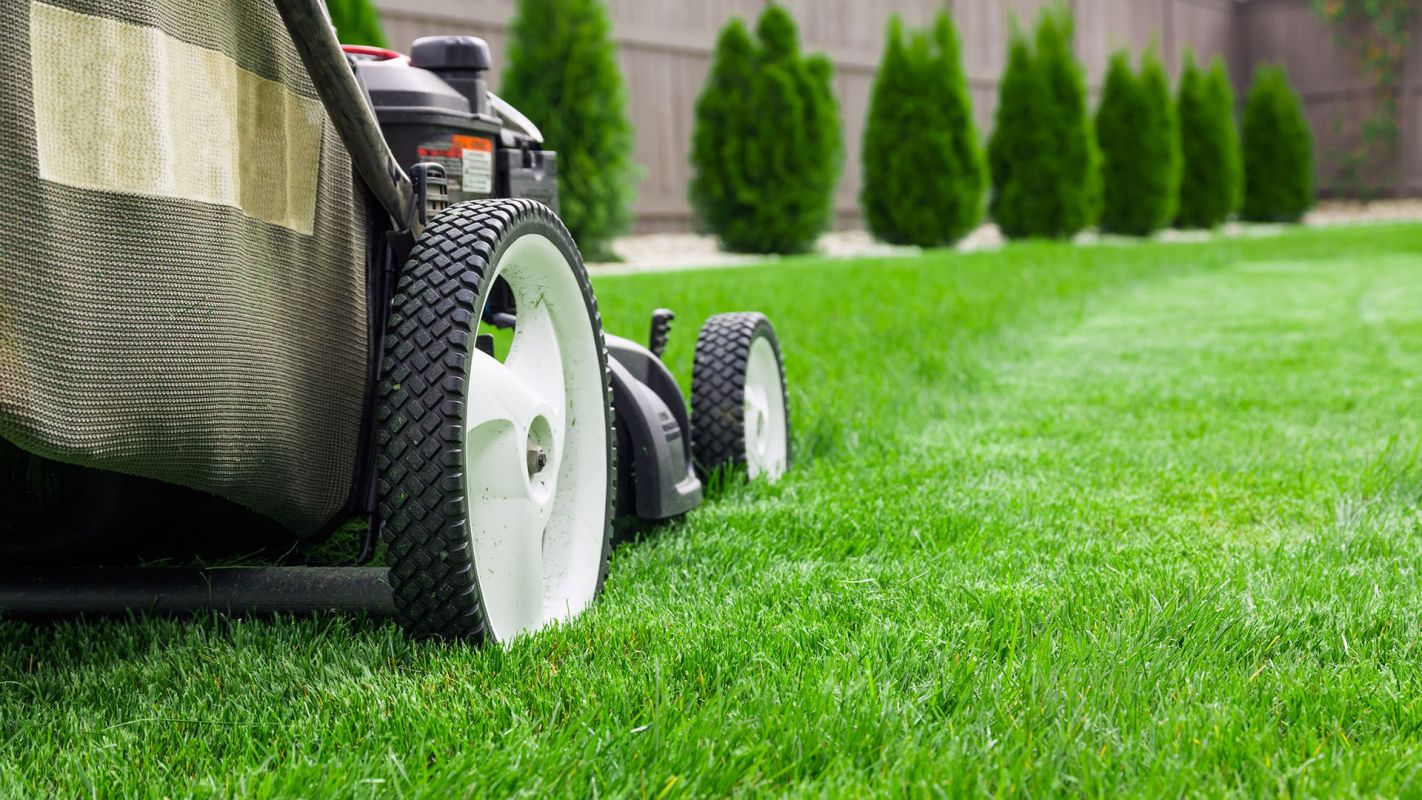Lawn Maintenance Services Moraga CA