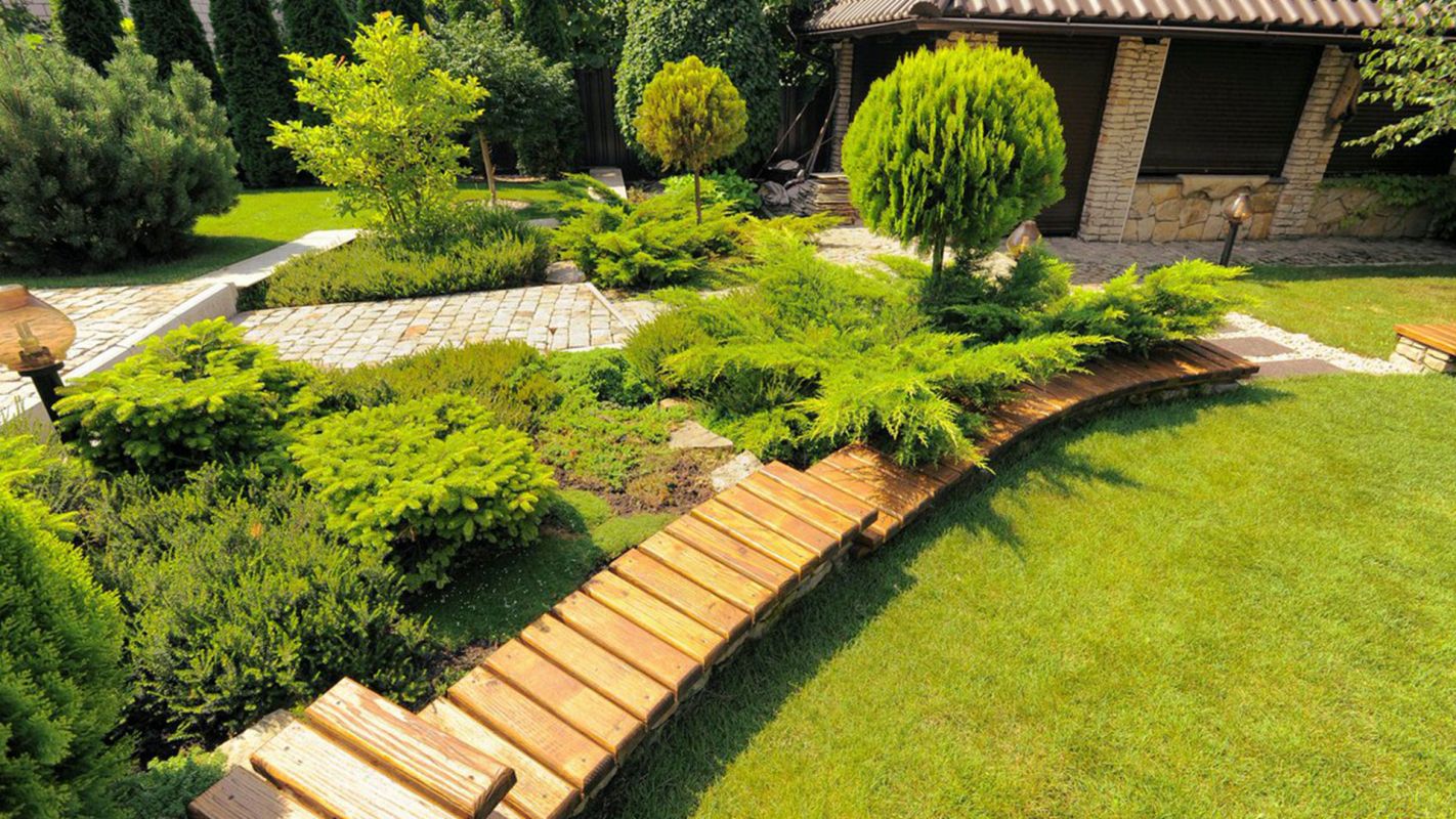 Affordable Landscaping Rocklin CA