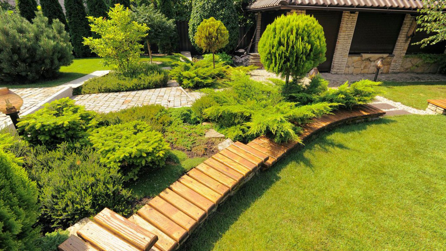 Affordable Landscaping Lincoln CA