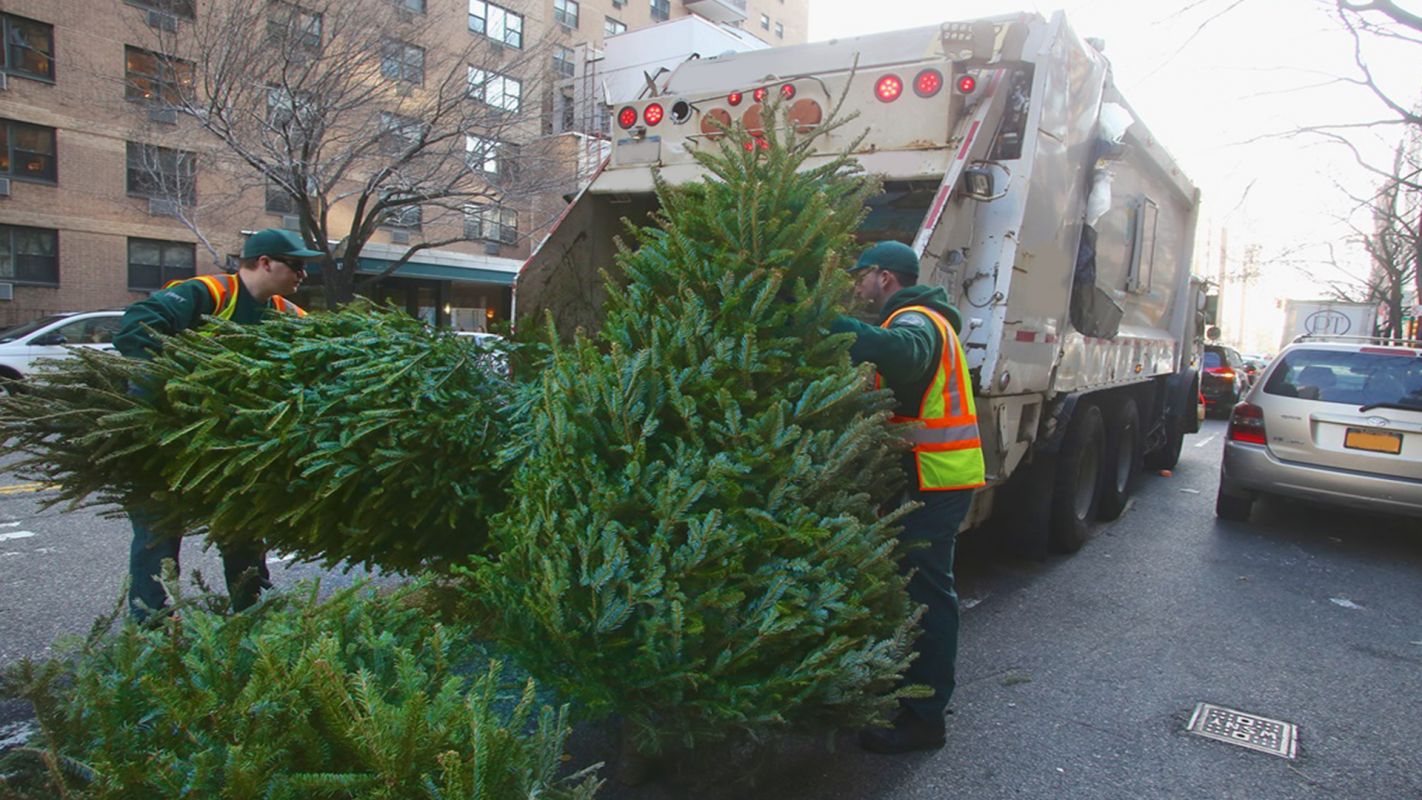Christmas Tree Removal Winston-Salem NC