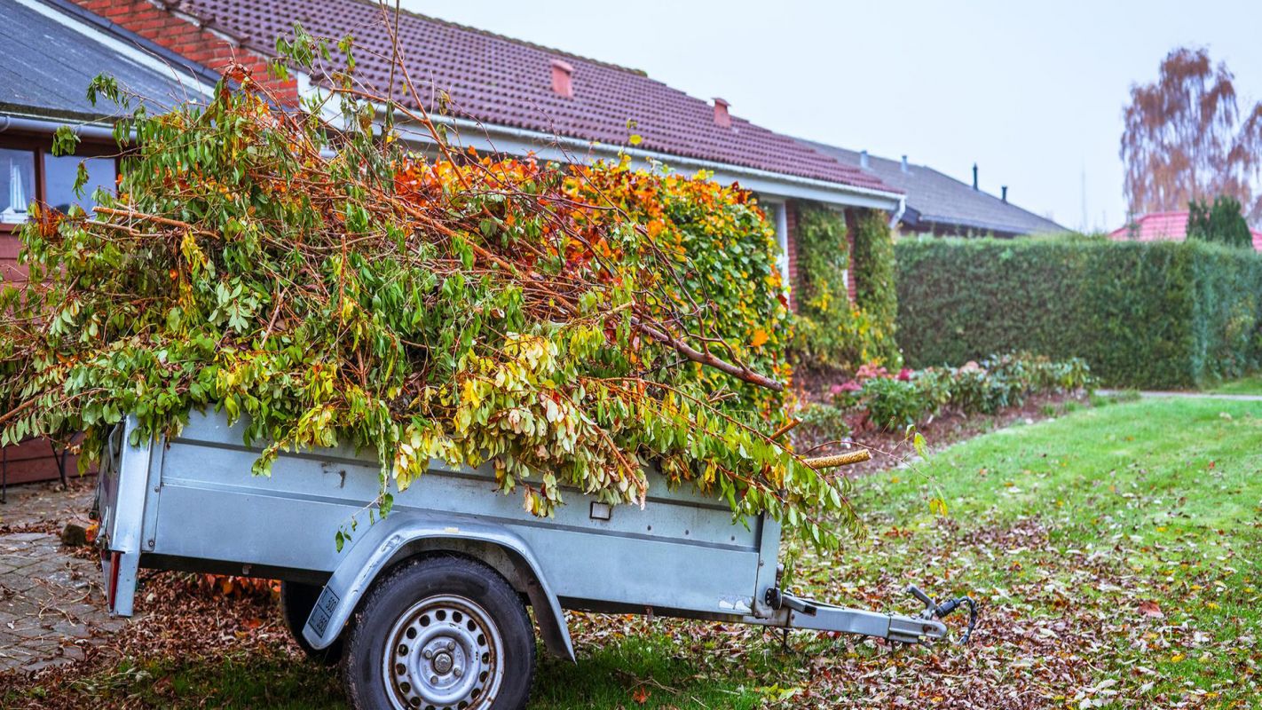 Yard Debris Removal High Point NC