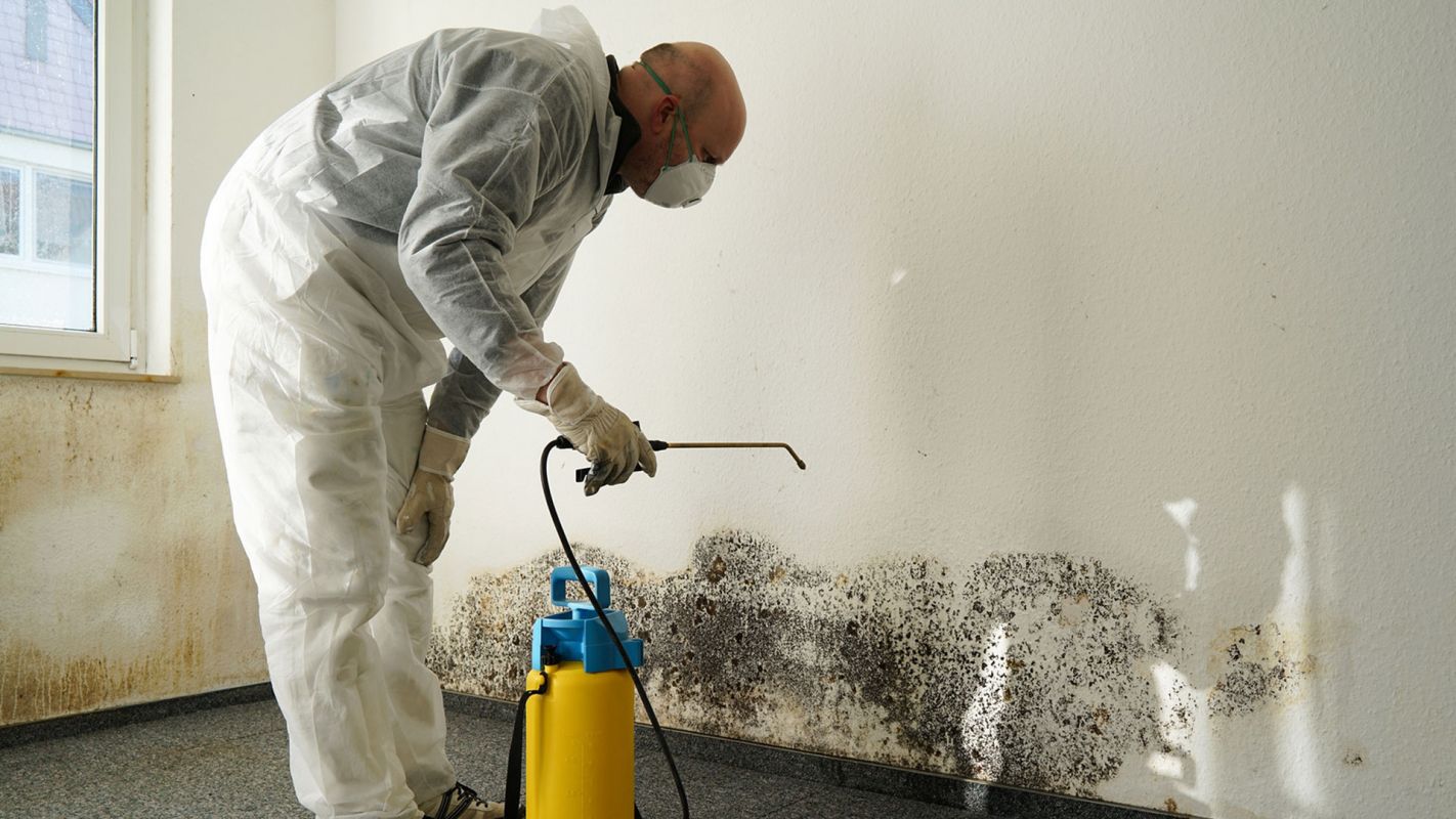 Residential Mold Removal Roswell GA