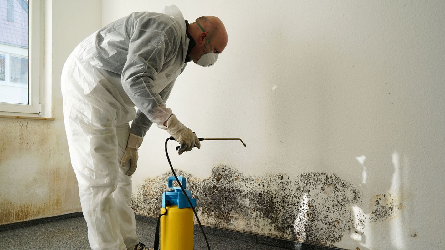 Mold Remediation Services Roswell GA