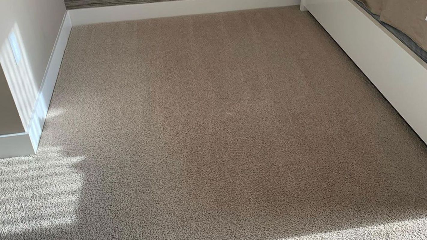 Carpet Cleaning Cost Pinecrest FL
