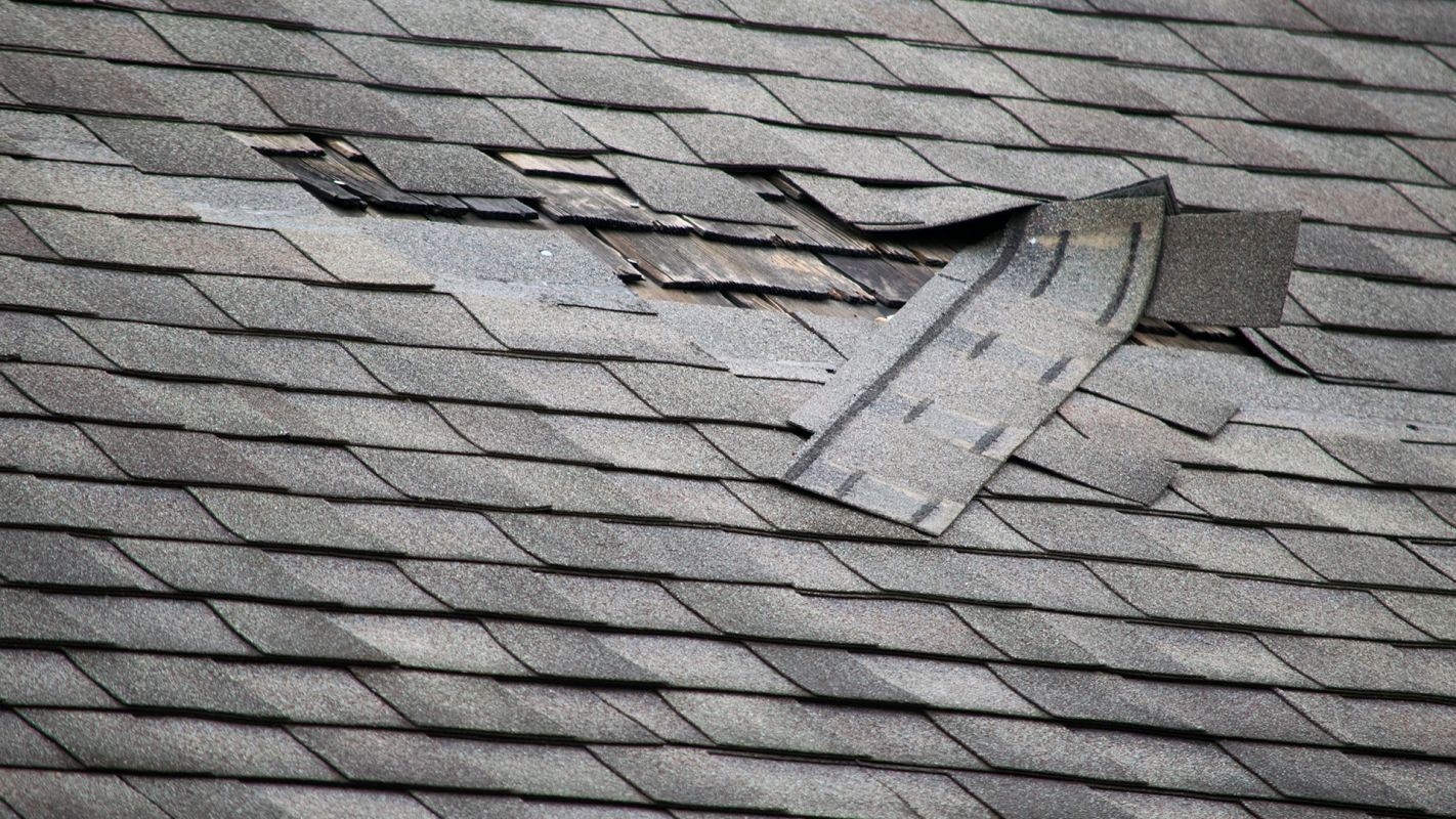 Water Damage Roof Repair Rowlett TX