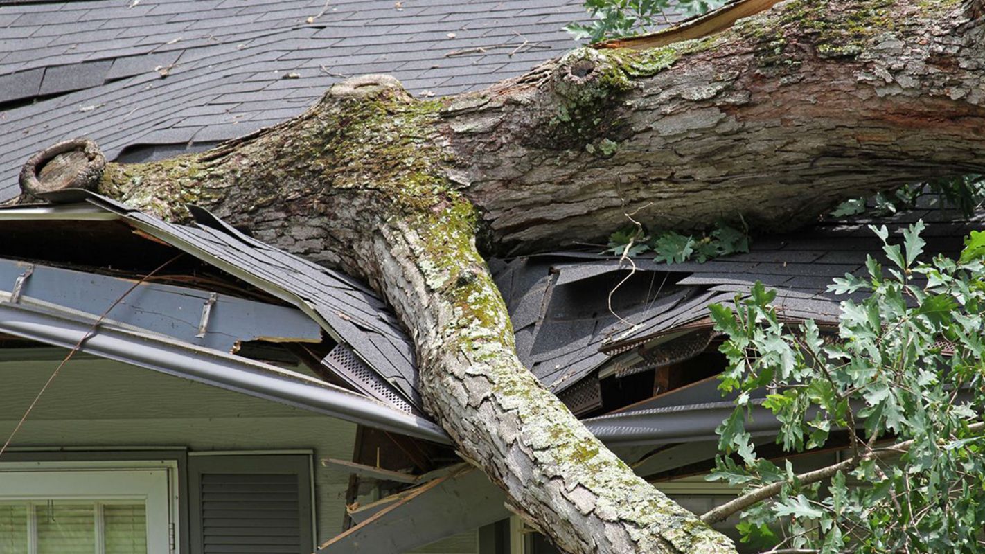 Roof Storm Restoration Frisco TX