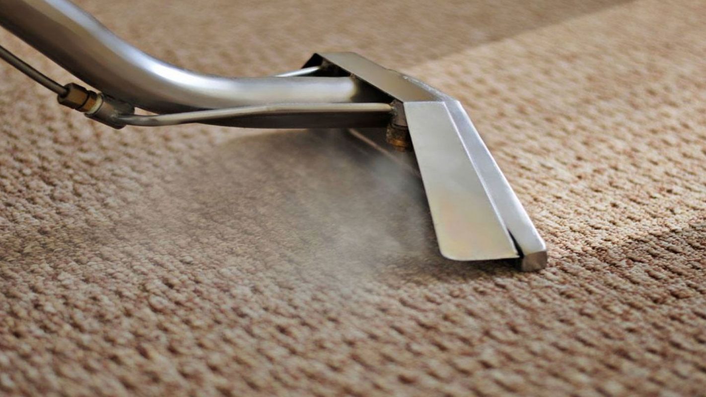 Steam Carpet Cleaning Service Portland OR